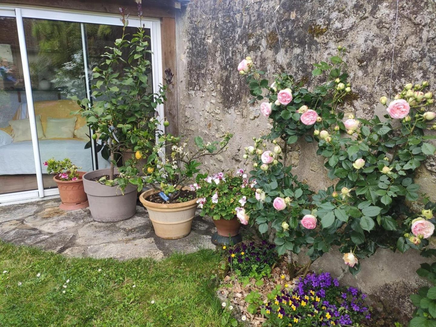 Le Relais De L'Ormeau - Charmant Gite Pour 4 Pers. Lussault-sur-Loire Dış mekan fotoğraf